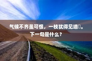 气候不齐虽可恨，一枝犹得见墙闉。下一句是什么？