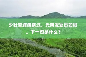 少壮空缠疾病过，光阴况复迅如梭。下一句是什么？