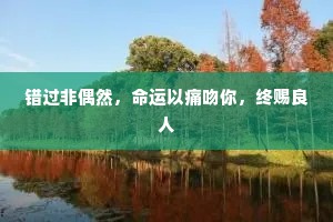 错过非偶然，命运以痛吻你，终赐良人