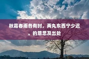 秋霜春雨各有时，两丸东西宁少迟。的意思及出处