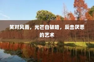 笑对风雨，光芒自破暗，反击厌恶的艺术
