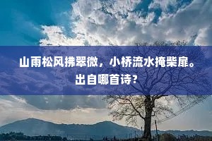 山雨松风拂翠微，小桥流水掩柴扉。出自哪首诗？