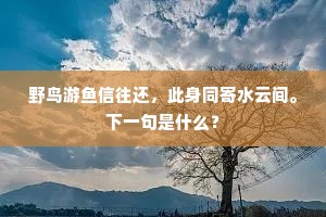 野鸟游鱼信往还，此身同寄水云间。下一句是什么？