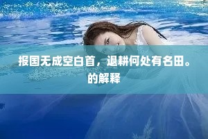 报国无成空白首，退耕何处有名田。的解释