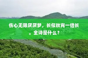 伤心无限厌厌梦，长似秋宵一倍长。全诗是什么？