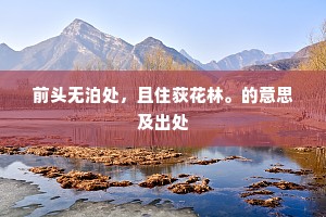 前头无泊处，且住荻花林。的意思及出处