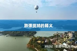 跌弹斑鸠的释义
