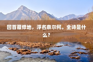 回首藏修地，浮名奈尔何。全诗是什么？