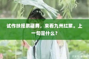 试作扶摇鹏翮舞，来看九州红紫。上一句是什么？