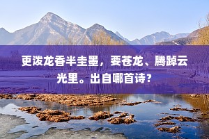 更泼龙香半圭墨，要苍龙、腾踔云光里。出自哪首诗？
