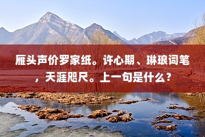 雁头声价罗家纸。许心期、琳琅词笔，天涯咫尺。上一句是什么？