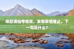 唤起谪仙夸俊赏，发我豪情难止。下一句是什么？