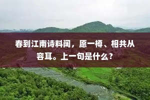 春到江南诗料阔，愿一樽、相共从容耳。上一句是什么？