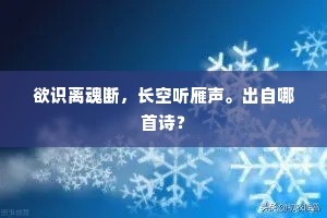 欲识离魂断，长空听雁声。出自哪首诗？