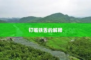 钉嘴铁舌的解释