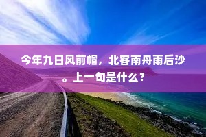 今年九日风前帽，北客南舟雨后沙。上一句是什么？