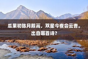 瓜果初陈月殿高，双星今夜会云曹。出自哪首诗？