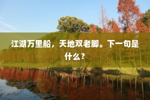 江湖万里船，天地双老脚。下一句是什么？