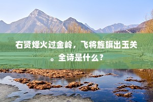 右贤烽火过金岭，飞将旌旗出玉关。全诗是什么？