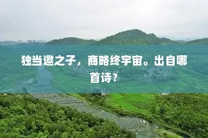 独当邀之子，商略终宇宙。出自哪首诗？