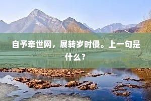 自予牵世网，展转岁时侵。上一句是什么？
