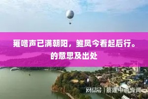 雍喈声已满朝阳，雏凤今看起后行。的意思及出处