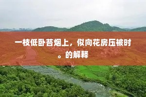一枝低卧苔烟上，似向花房压被时。的解释