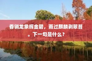 香销龙象辉金碧，雨过麒麟剥翠苔。下一句是什么？
