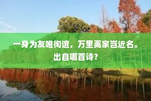 一身为友唯徇谊，万里离家岂近名。出自哪首诗？
