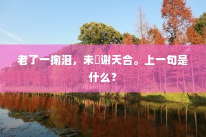 老了一掬泪，未憗谢天合。上一句是什么？