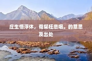 庄生悟浮休，荀粲枉悲咽。的意思及出处
