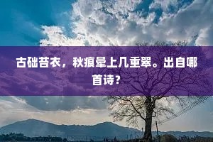 古础苔衣，秋痕晕上几重翠。出自哪首诗？