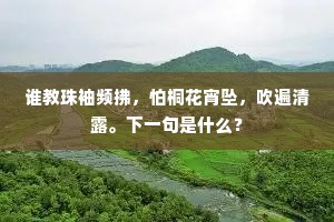 谁教珠袖频拂，怕桐花宵坠，吹遍清露。下一句是什么？