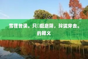 雪狸曾误。只顗觑庭阴，玲珑穿去。的释义