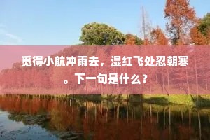 觅得小航冲雨去，湿红飞处忍朝寒。下一句是什么？