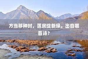 方当移种时，莲房绽新绿。出自哪首诗？