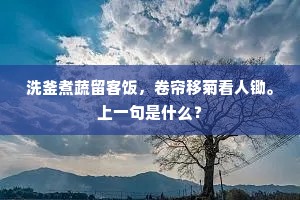 洗釜煮蔬留客饭，卷帘移菊看人锄。上一句是什么？