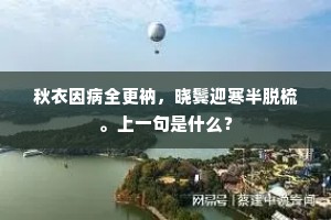 秋衣因病全更衲，晓鬓迎寒半脱梳。上一句是什么？