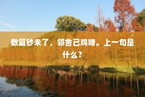 数篇钞未了，邻舍已鸡啼。上一句是什么？