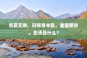 名葩无数，问弱骨丰肌，谁堪腰折。全诗是什么？
