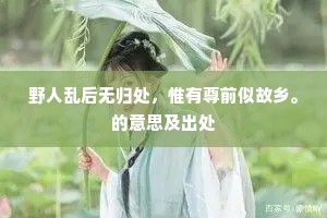 野人乱后无归处，惟有尊前似故乡。的意思及出处