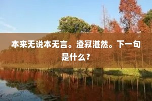 本来无说本无言。澄寂湛然。下一句是什么？
