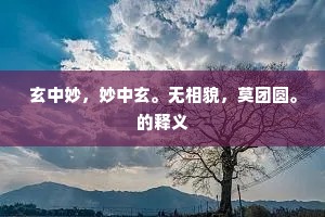 玄中妙，妙中玄。无相貌，莫团圆。的释义