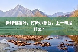 粉牌新薤叶，竹援小葱台。上一句是什么？