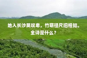 地入长沙莫叹卑，竹萌径尺旧相知。全诗是什么？