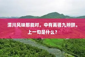 渭川风味那能对，中有离骚九辨辞。上一句是什么？