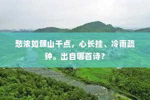 愁浓如簇山千点，心长挂、冷雨疏钟。出自哪首诗？