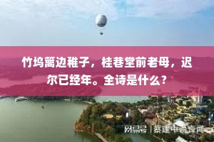 竹坞篱边稚子，桂巷堂前老母，迟尔已经年。全诗是什么？