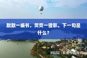 默默一编书，荧荧一镫影。下一句是什么？