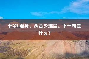 于今祇老身，从昔少埃尘。下一句是什么？